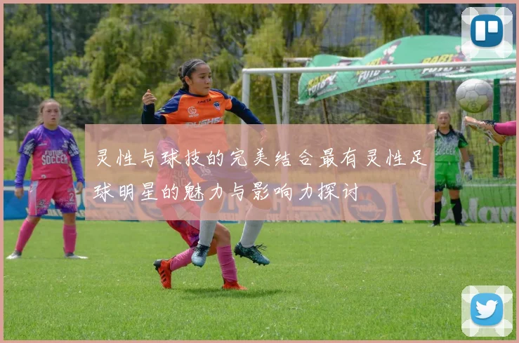 灵性与球技的完美结合最有灵性足球明星的魅力与影响力探讨